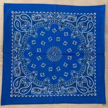 빈티지 반다나 데드스탁 [ 번호:DS7 ] HAV-A-HANK