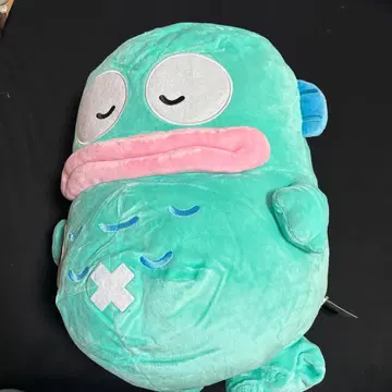 한교동 초초 BIG DX 봉제 인형