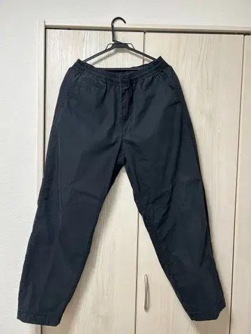 THE NORTH FACE RipstopShirred WaistPants