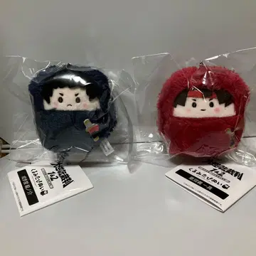 싸개 태피 인형 대역전재판 아소기 카즈마 나루호도 류노스케