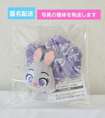 주토피아2 삐요코큥 스크런치 주디