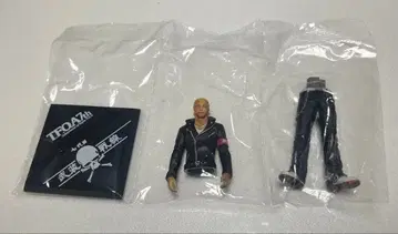 크로우즈 WORST T.F.O.A 7th 히메카와 케이 피규어