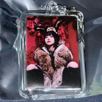 듀어다이 랜덤 키링 아노짱 ano 홀 투어 굿즈