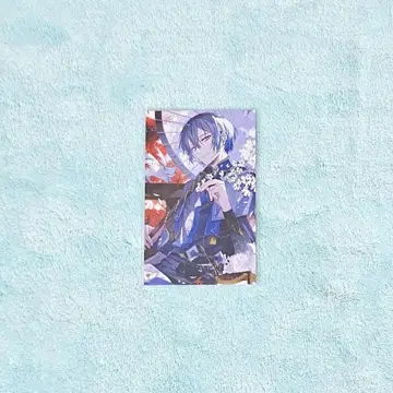 코야나기 로우 노스탤지어