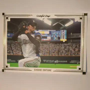 오타니 쇼헤이 니혼햄