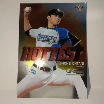 오타니 쇼헤이 니치햄 HOTTEST