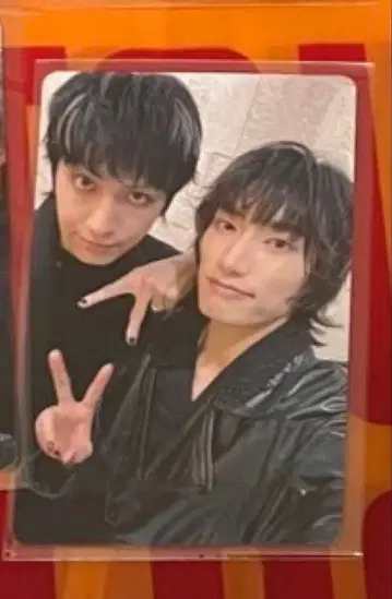 스파도라 후루카와 츠요시 x 시바사키 라쿠 페어 트레이딩 카드