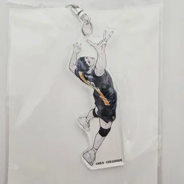 하이큐 SV리그 콜라보 아크릴 키링 카게야마 토비오