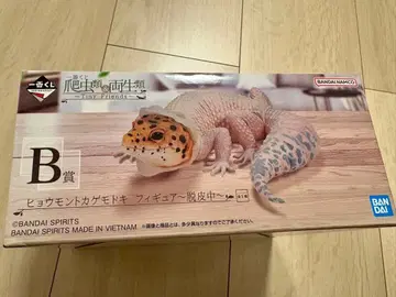 BANDAI 레오파드 도마뱀 피규어 B상