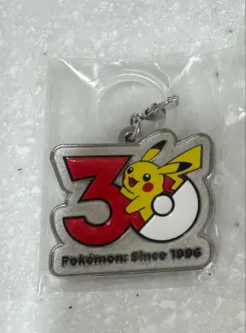 포켓몬 30주년 메탈 참 마스코트 피카츄