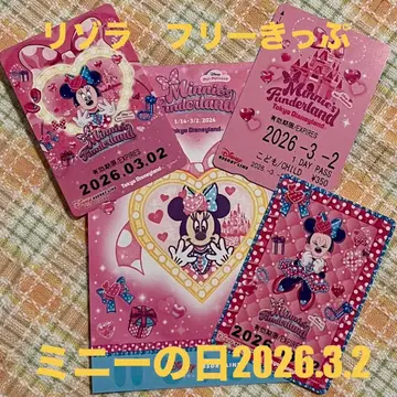 리조라 프리 티켓 파르팔루자 미니 디즈니 리조트 라인 기간 만료