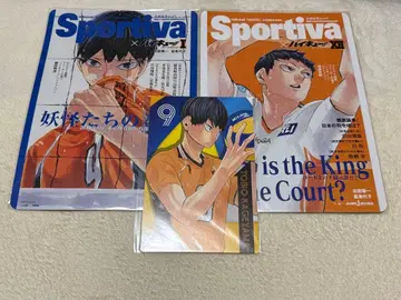 하이큐!! 카게야마 토비오 세트 Sportiva 포스카