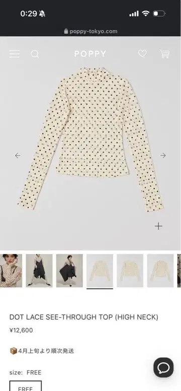 POPPY DOT LACE SEE-THROUGH TOP HIGH NECK