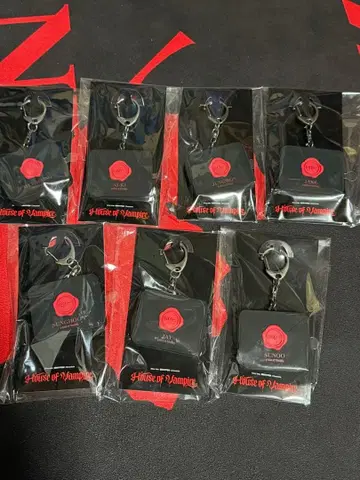 enhypen house of vampire 보이스 키링 세트