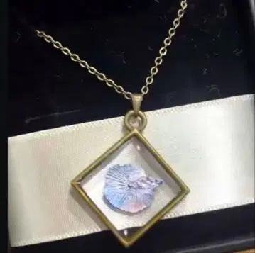 베타 열대어 목걸이 미사용 새상품 한정판