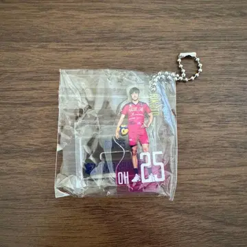 25번 고토 리쿠토 베어 가챠 그레이트 베어 도쿄 그레이트 베어즈