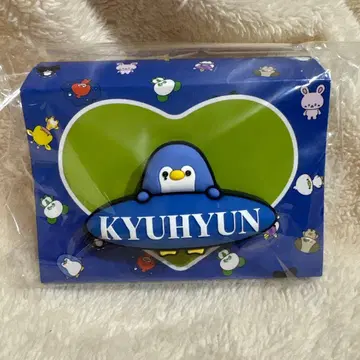 팬라이트 액세서리 규현