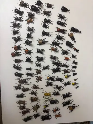 곤충 피규어 세트 100체 이상