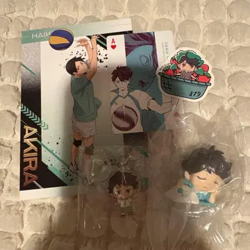 하이큐 아오바죠사이