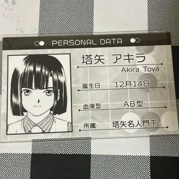 히카루의 바둑 토야 아키라 프로필 카드