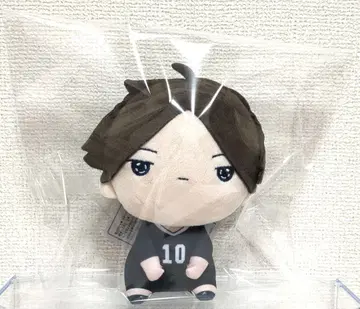 하이큐 모찌피코 봉제 인형 스나 린타로