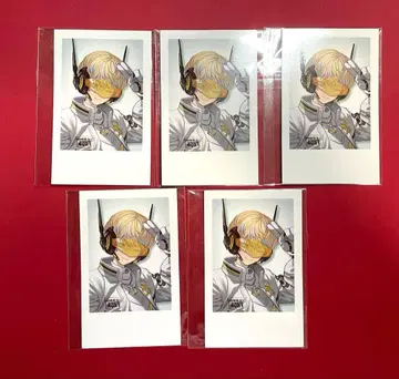 히바치 마나 폴라로이드 굿즈 5종 세트 니지산지