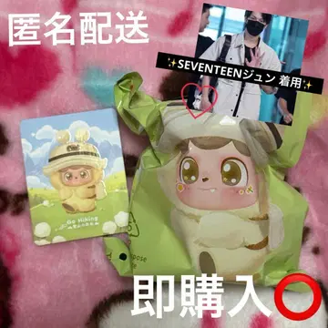 세븐틴 준 착용 JOTOYS Q.kid 봉제 인형 블라인드 박스