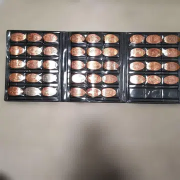 디즈니 수베니어 메달 & 컬렉션 북 (미키 미니)