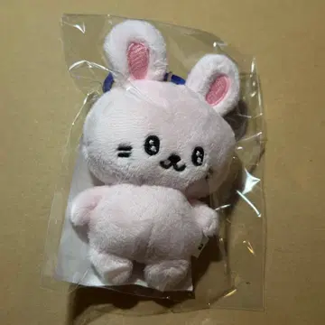 은혁 봉제 인형 키링 스파쇼 SUPER JUNIOR 2