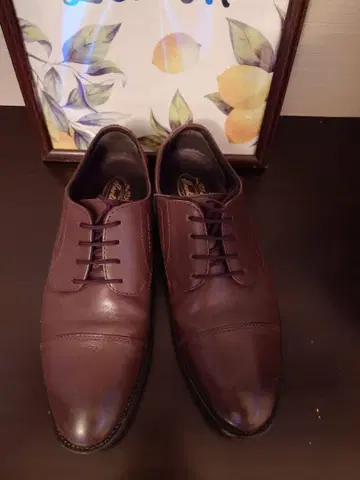 호킨스, 다크 브라운 가죽 드레스 슈즈