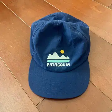 PATAGONIA 네이비 캡
