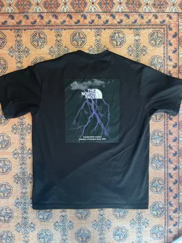 THE NORTH FACE 쇼트슬리브 TNF 라이트닝 티