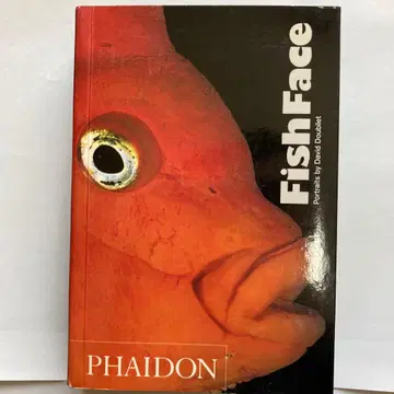 데비드 두빌레 저서 Fish Face