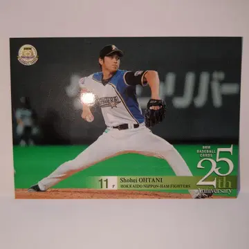 오타니 쇼헤이 니혼햄