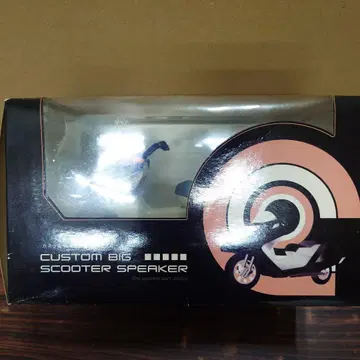 퓨전풍 커스텀 빅 스쿠터 스피커 2