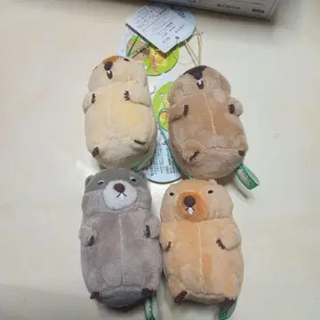 마모트의 모토토모아! VMC 컴프 세트 캐릭터 굿