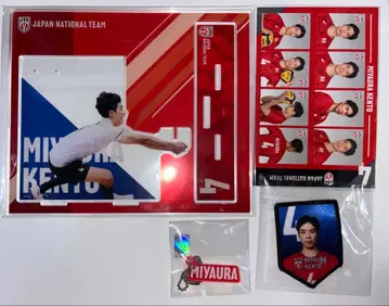 배구 남자 일본 대표 카프 복권 미야우라 켄토 아크릴 스탠드 스티커 외