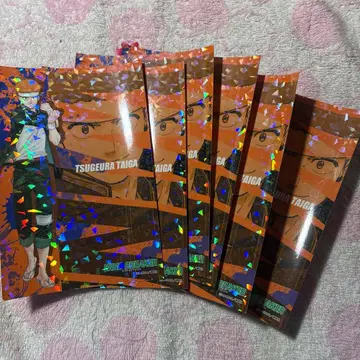 윈드 브레이커 프린세스 카페 홀로그램 엽서 츠지우라 타이카 6점