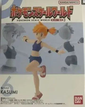 포켓몬 스케일 월드 칸토 지방 3 카스미 상자 없음