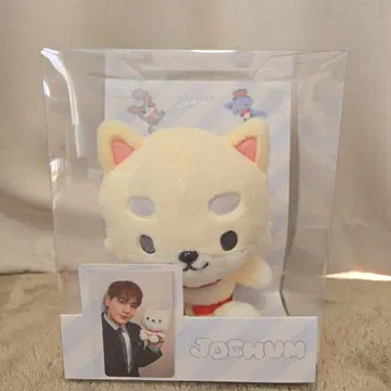JOCHUM 마메치 산리오 콜라보 봉제 인형 사진 카드 포함
