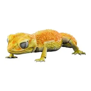 알비노 필 바라나메하다 타마오 도마뱀 생물대도감 어드밴스 파충류 생물