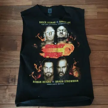 WWE GREAT BALLS OF FIRE 티셔츠 M 슬리브리스