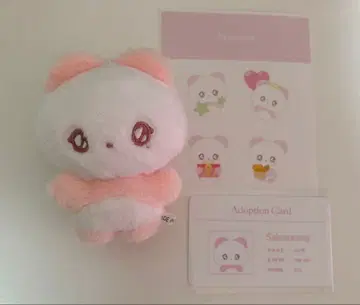 NCT WISH 사쿠야 winimalz 봉제 인형