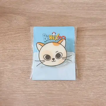 BOYNEXTDOOR 푸네크도 스마트톡 켓피 선호