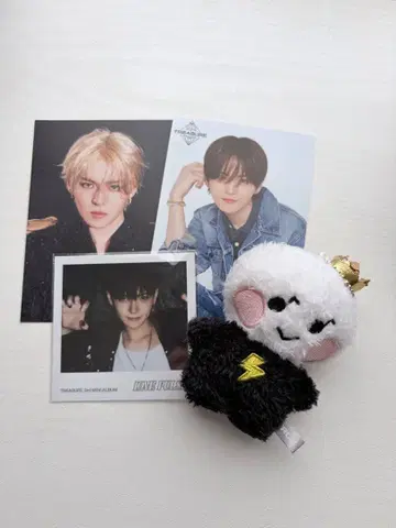 TREASURE 봉제 인형 포토 카드 세트 묶음 판매