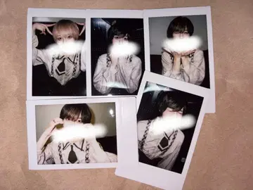 러브시크 료 핑 폴라로이드