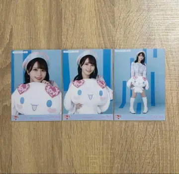 사사키 마이카 시나몬 시나모롤 콜라보 컴프