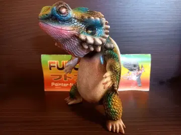 후토아곤 (웃음) 잡화점 한정판 채색