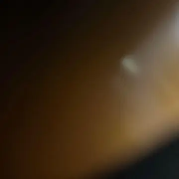 헌터헌터 데스크탑 헌터 6 레오리오 진 세트