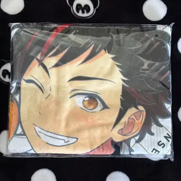 앙스타 테토라 빅 비주얼 타월